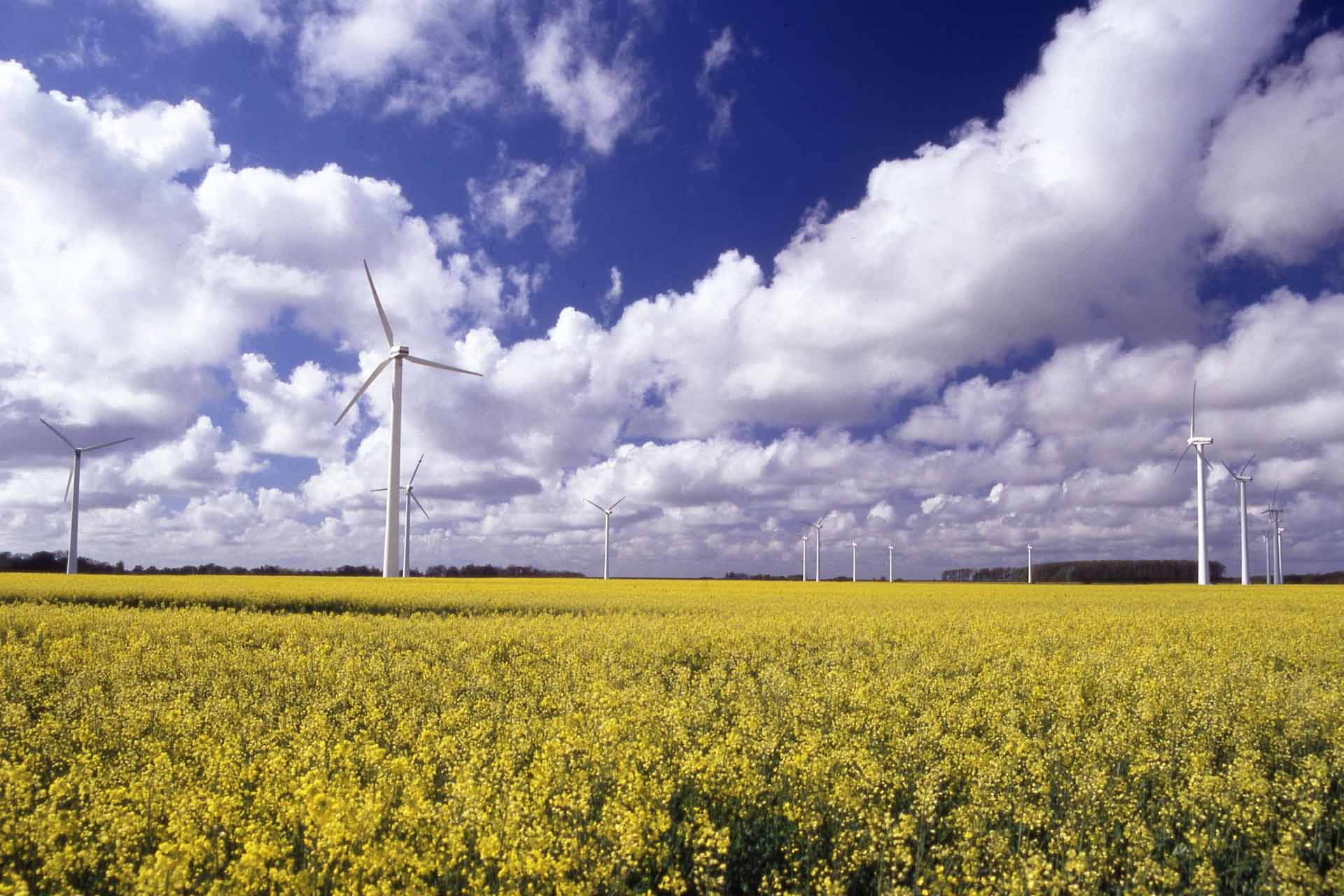 Wind turbines near Cuxhaven